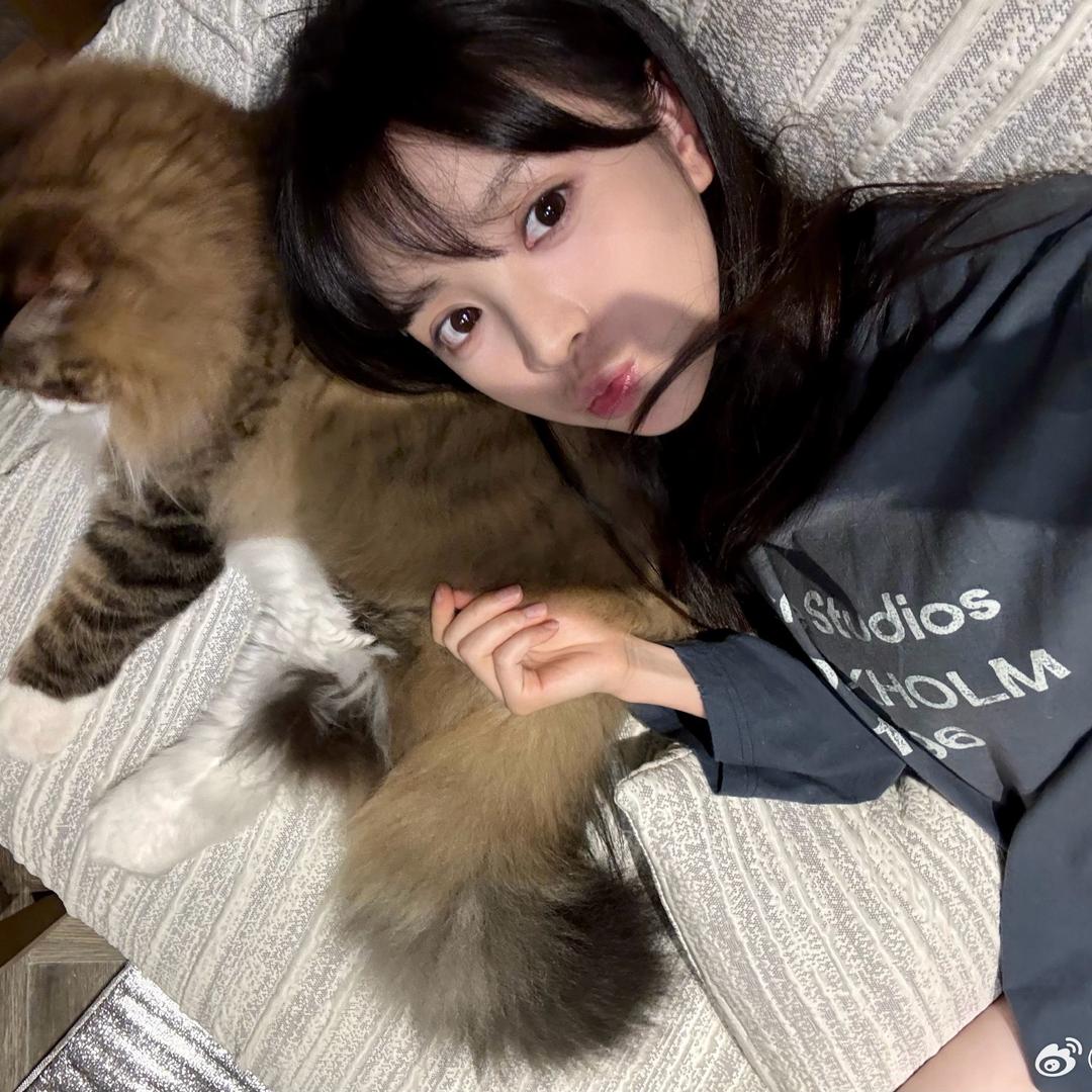 胖头鱼