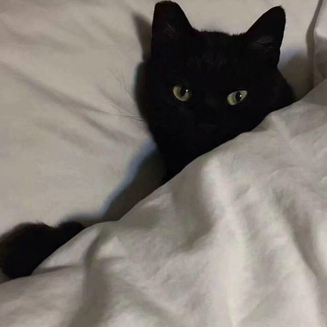 匿名徒客 | 小雨