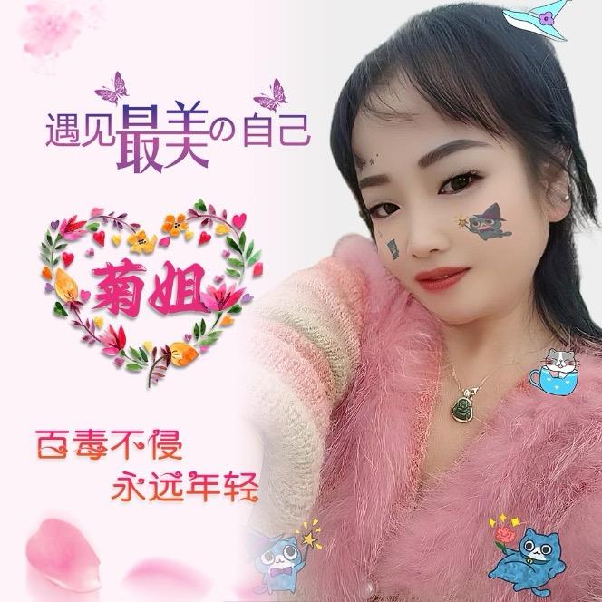 菊姐8013橱窗商品