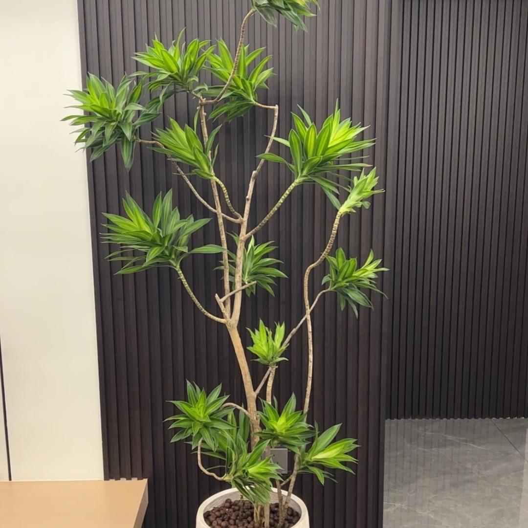 鼎卉园艺