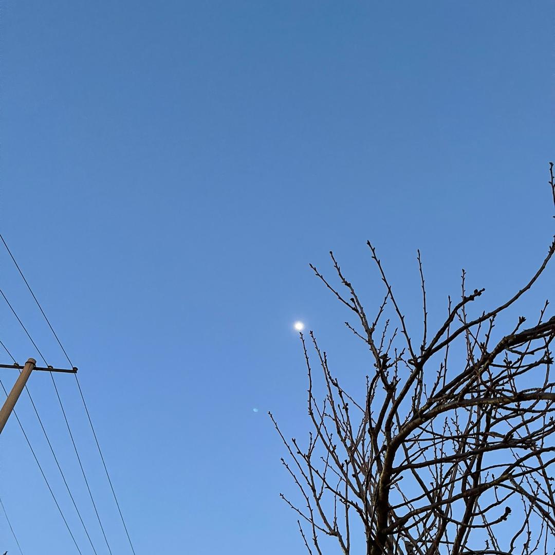 小裴  裴召弟