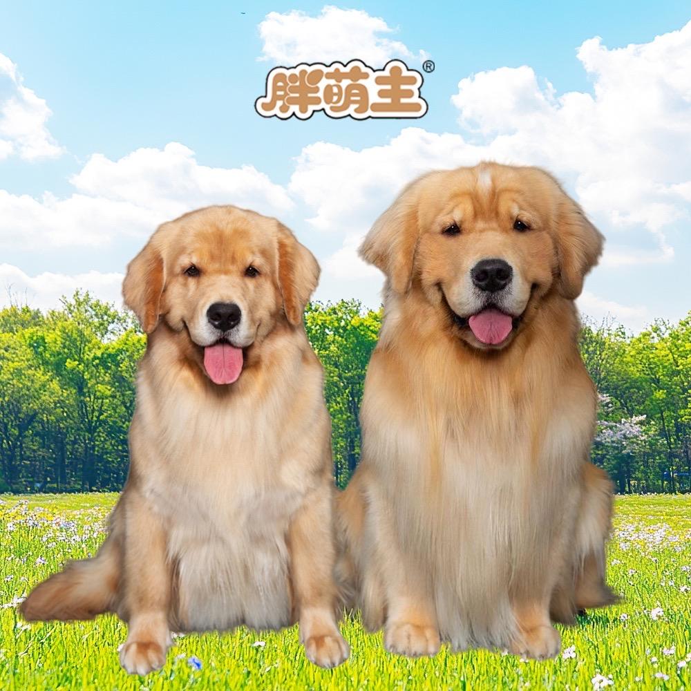 胖萌主宠物狗粮