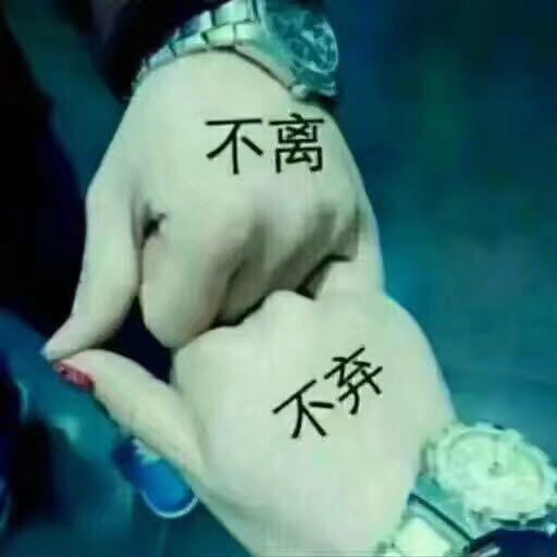 🐲龙七哥