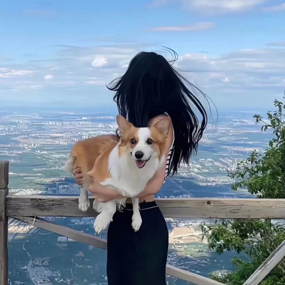秦筝海棠