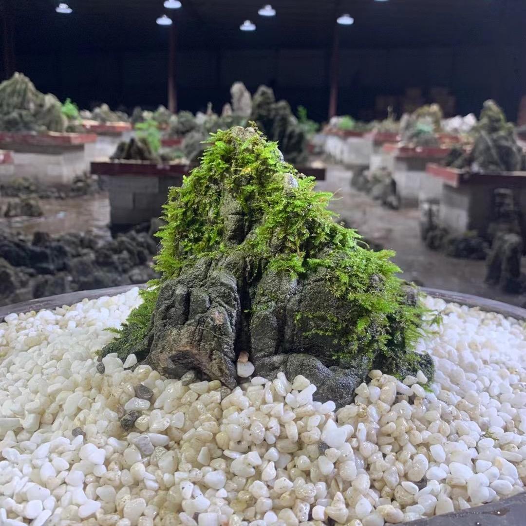 桂林山水纹石