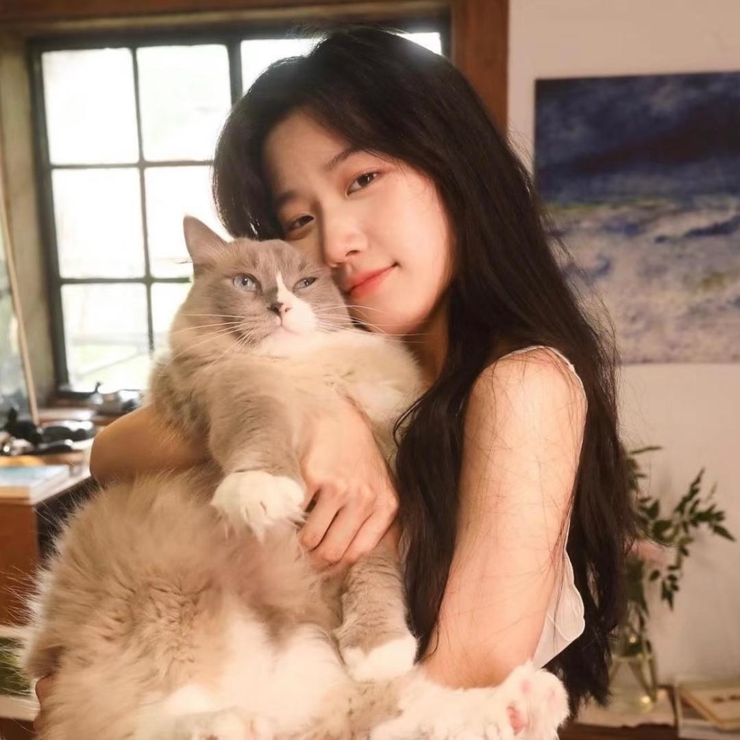 陈美嘉🐈