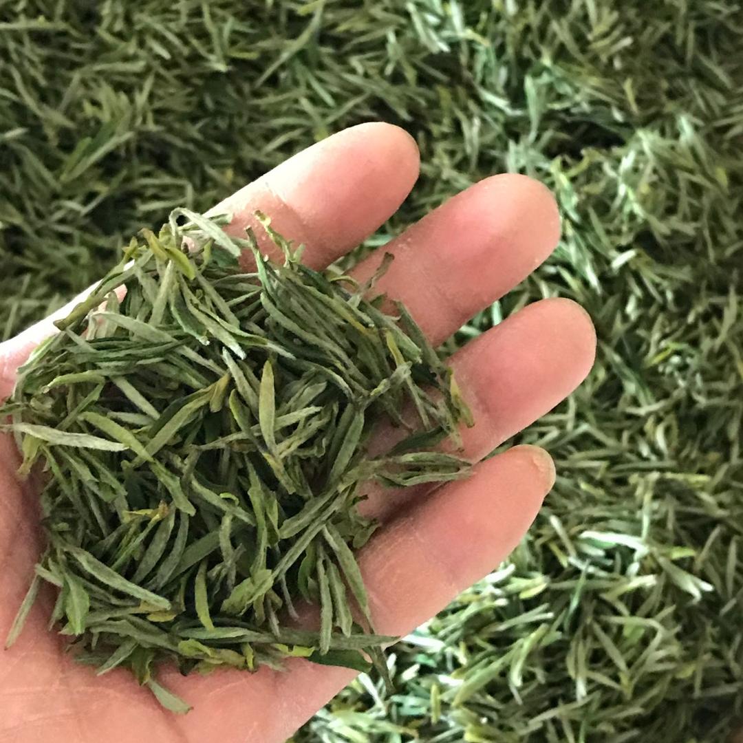 桐城市龙之燕茶业厂