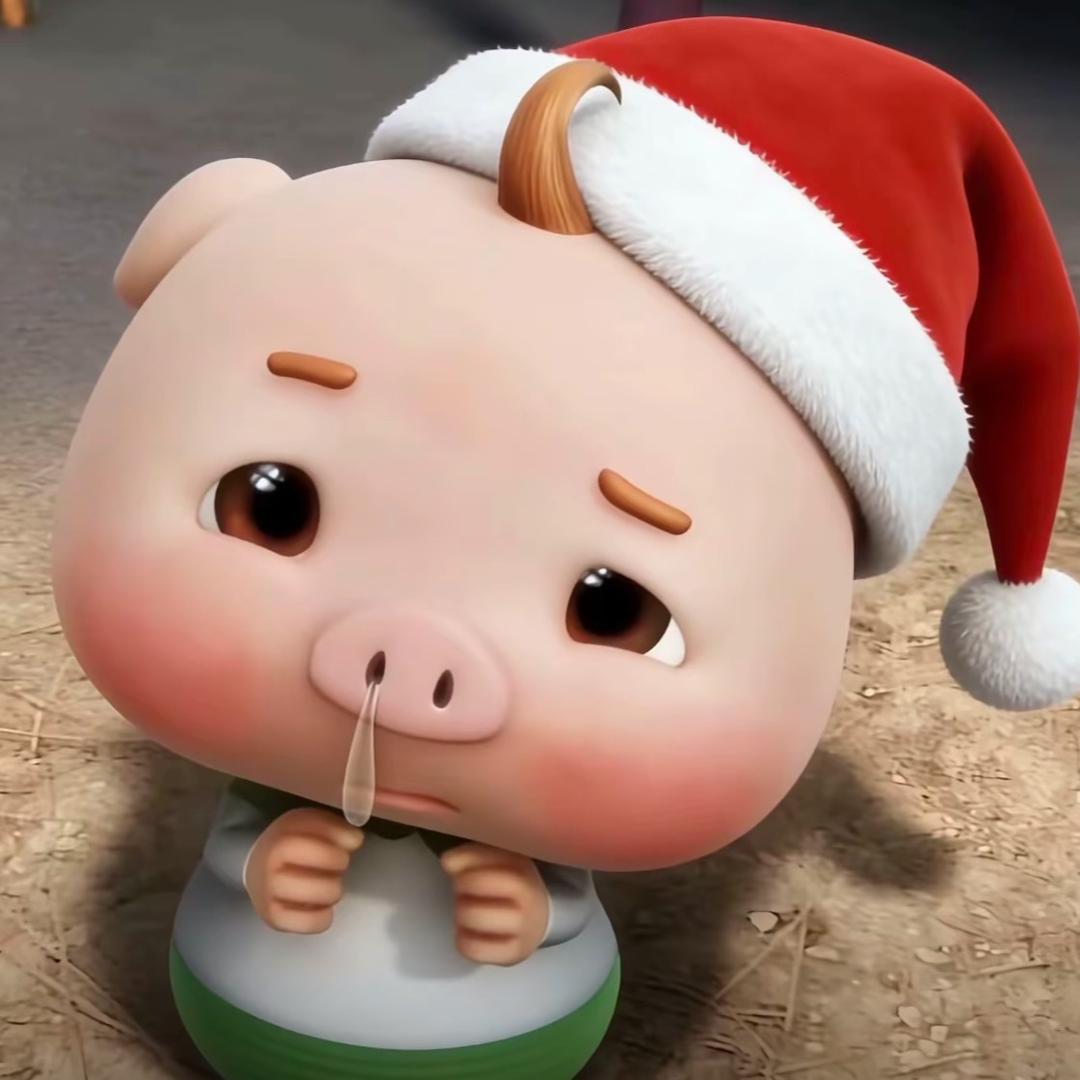 小兔不是光头（9377）