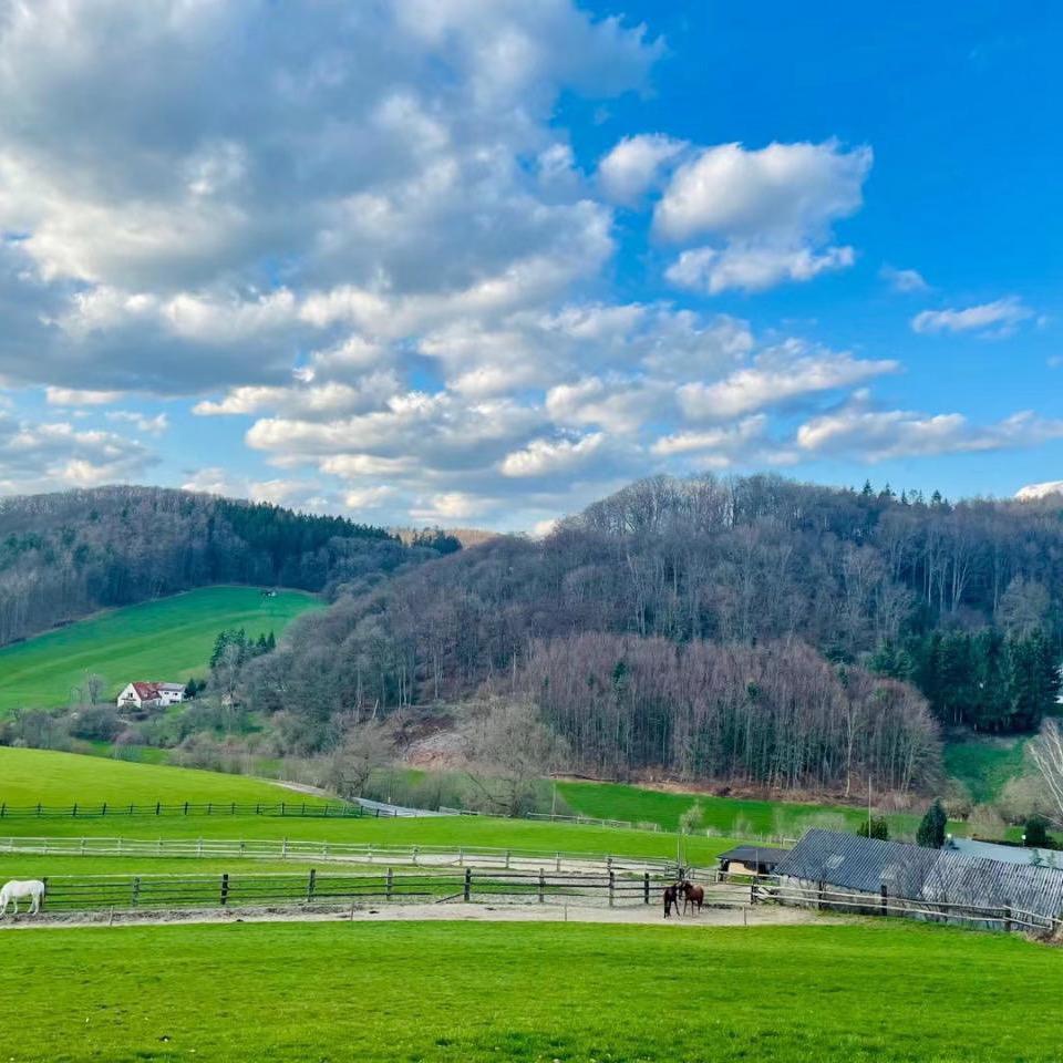 全托集训中心严老师