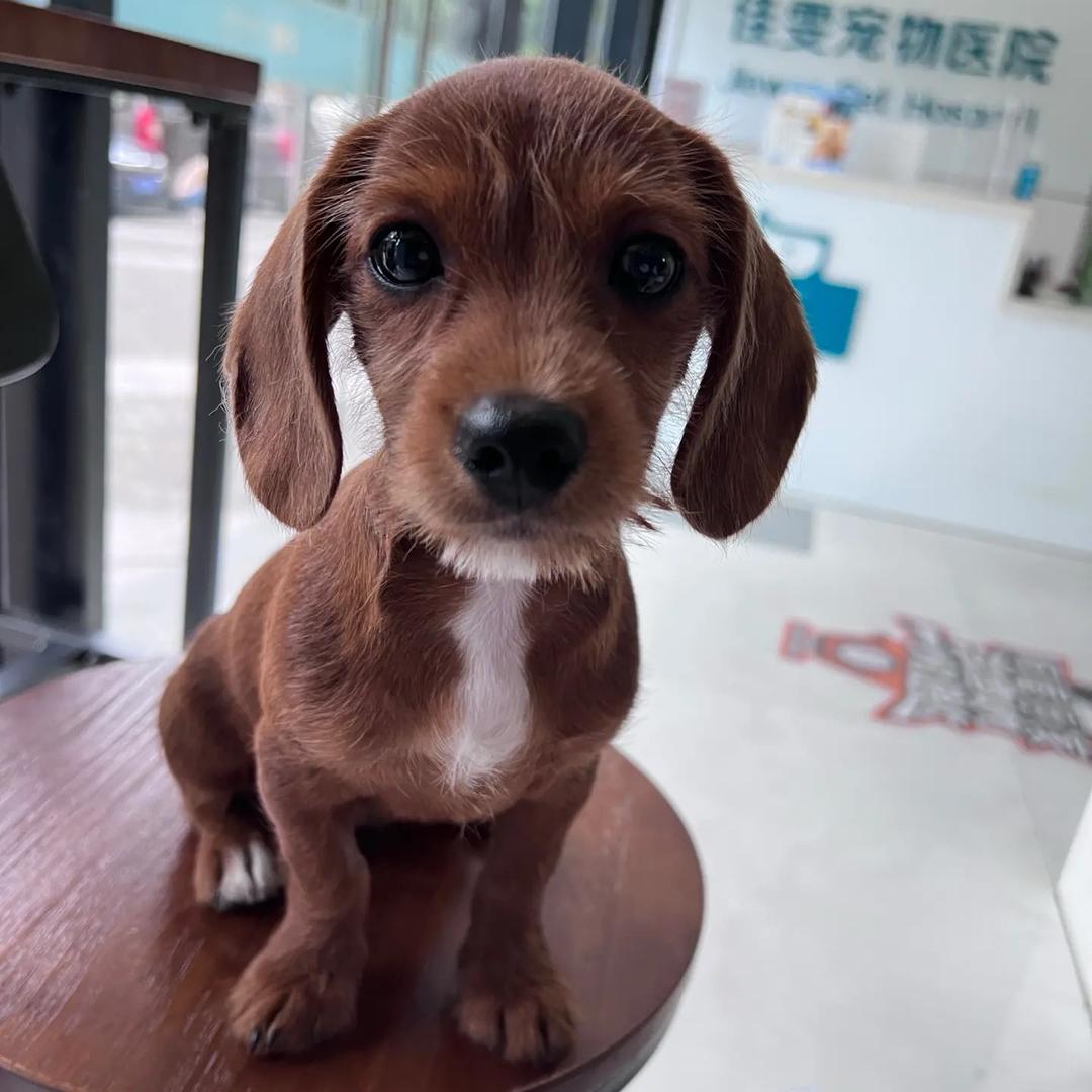 利辛县王稀奇