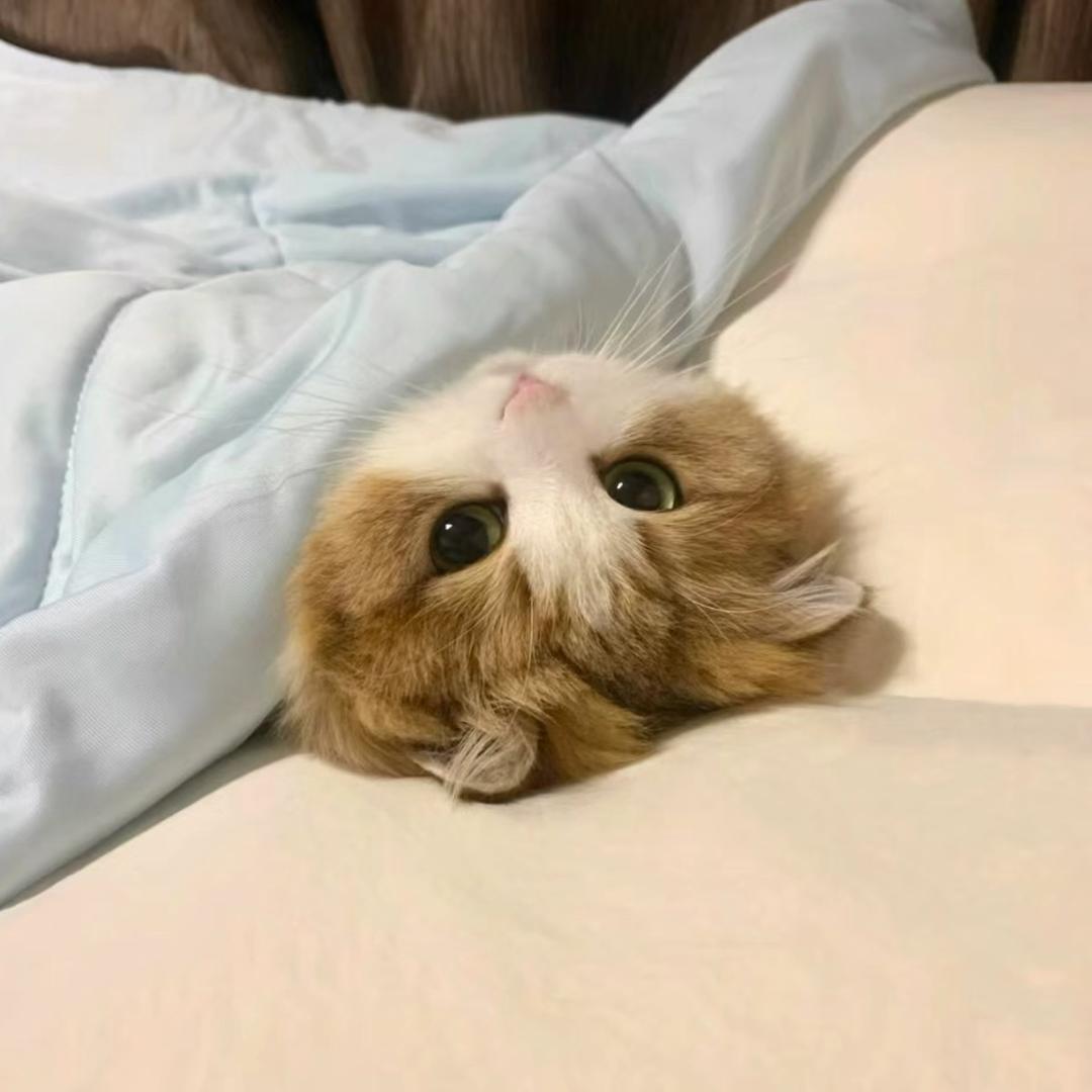 Z，。！