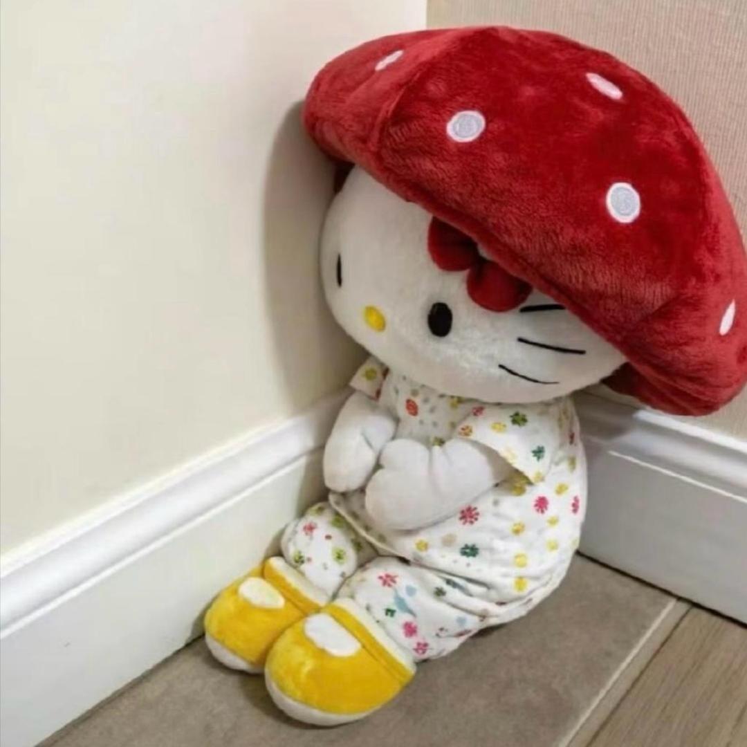 诺子