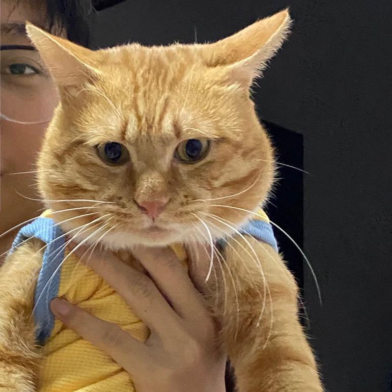 🌈一🐴一口🔥 ⁹¹⁶