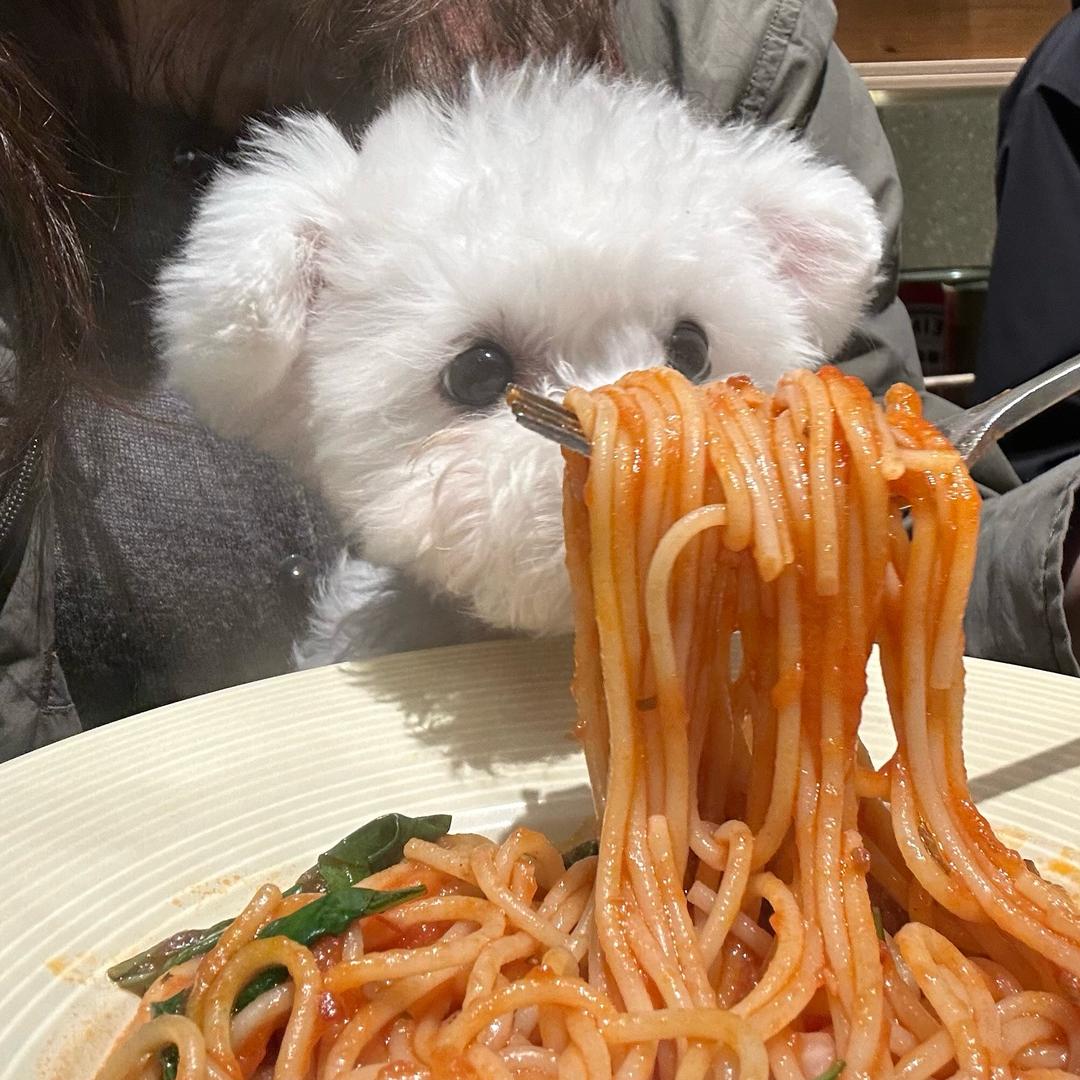 十七的好味日记