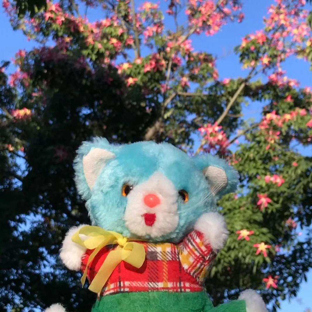 来财来财