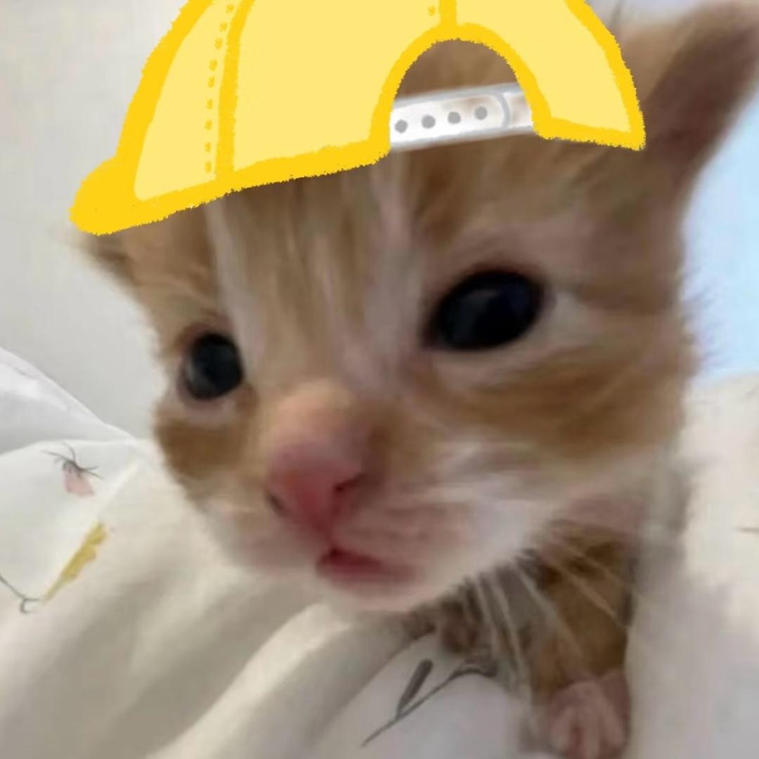 绿桑（SJ澳门有票版）