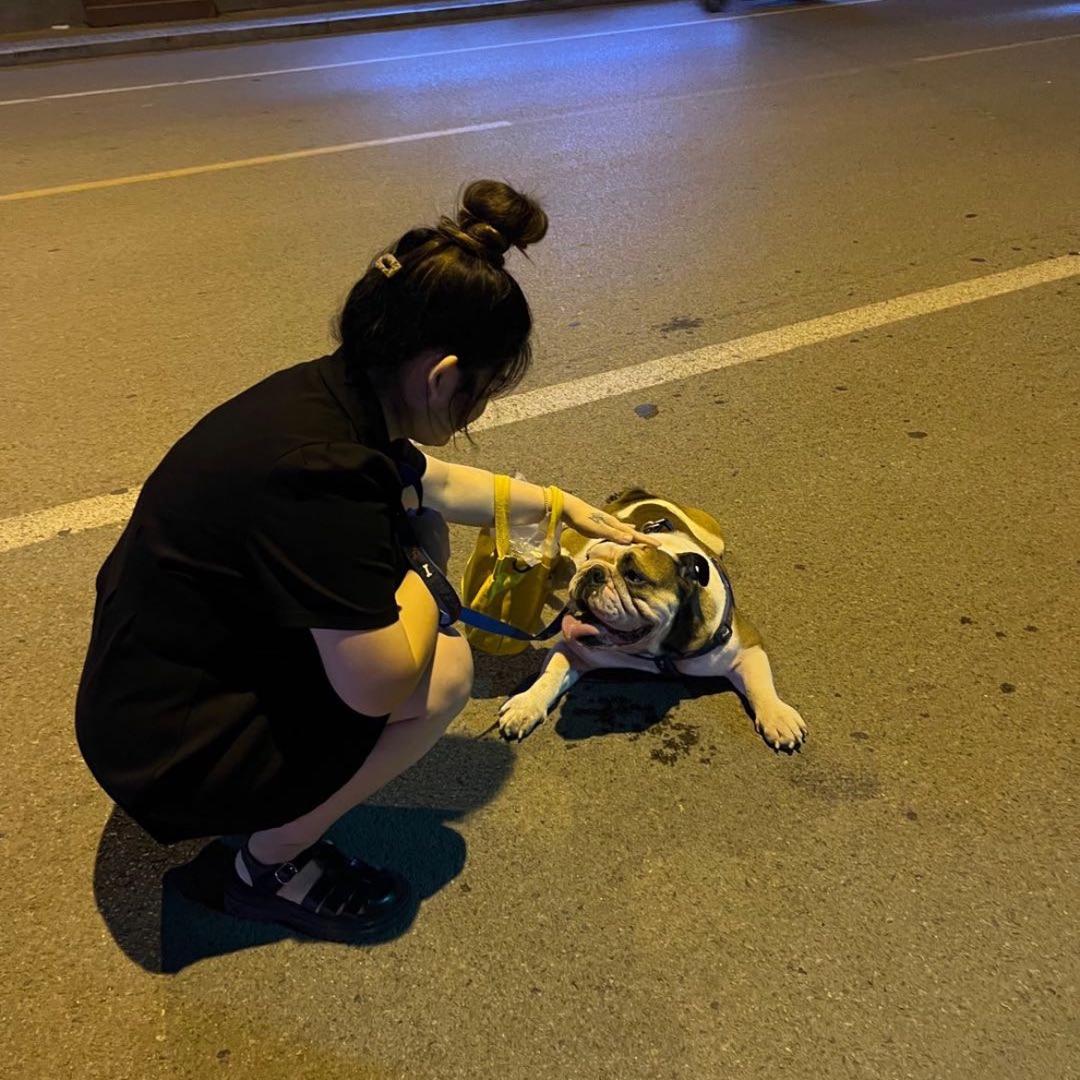 不吃萝卜的兔子