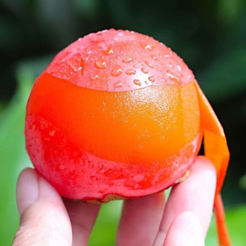 豆豆果生鲜