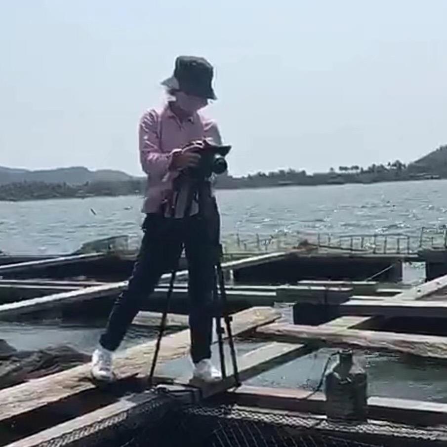 东游西荡