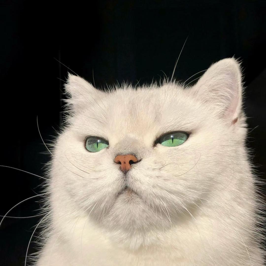 溜溜梅👑