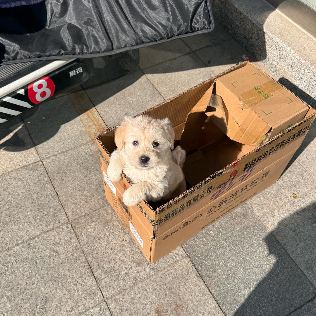 偷吃糖的小盆友