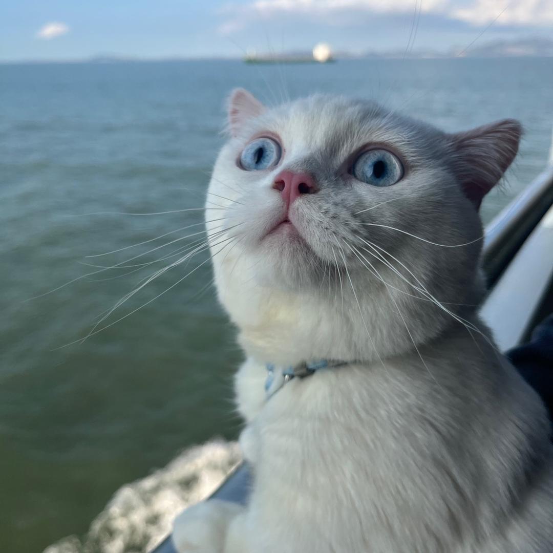 🌈老王