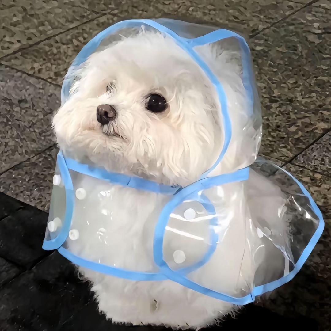 瑶瑶家华子耳饰