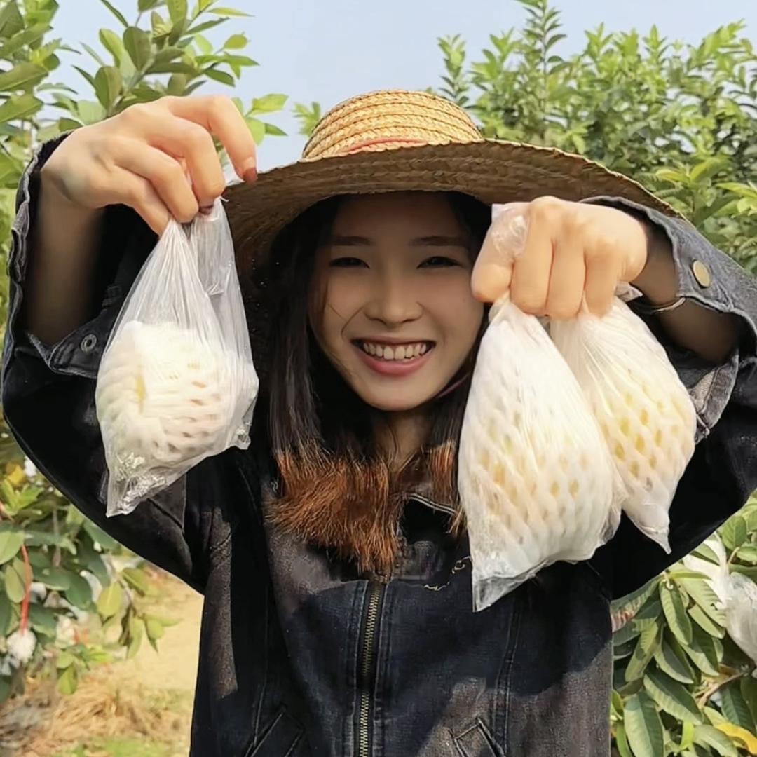 吃个果｜小李飞芭