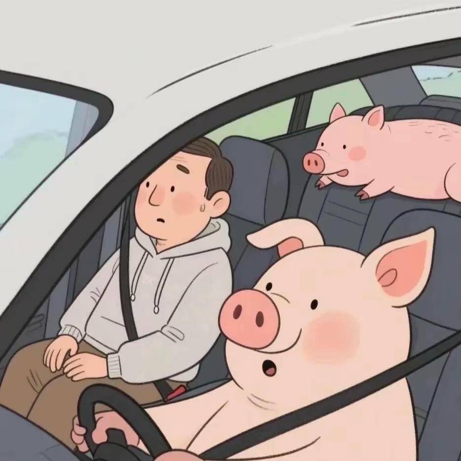 元泰驾校王教练