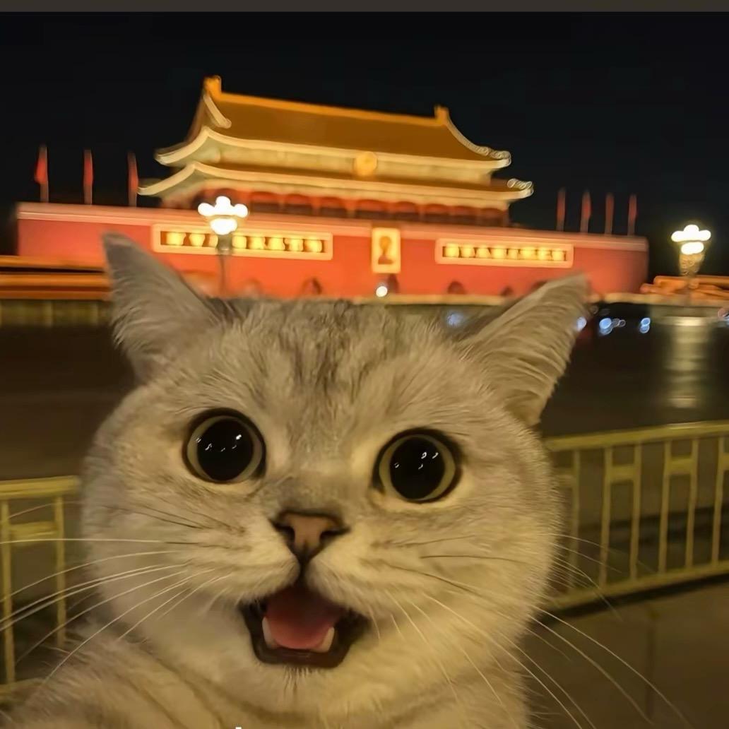 尊嘟假嘟