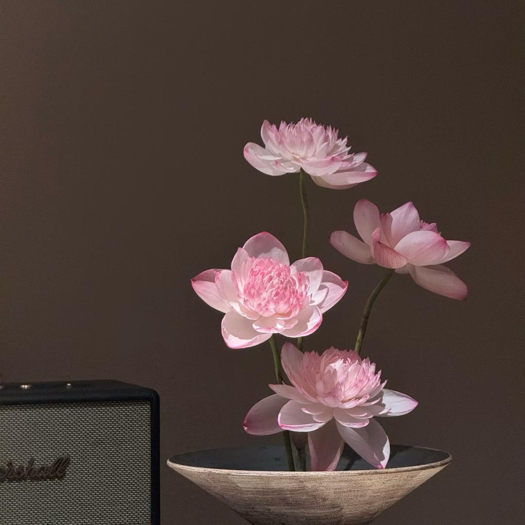 药剂主理人-李晨