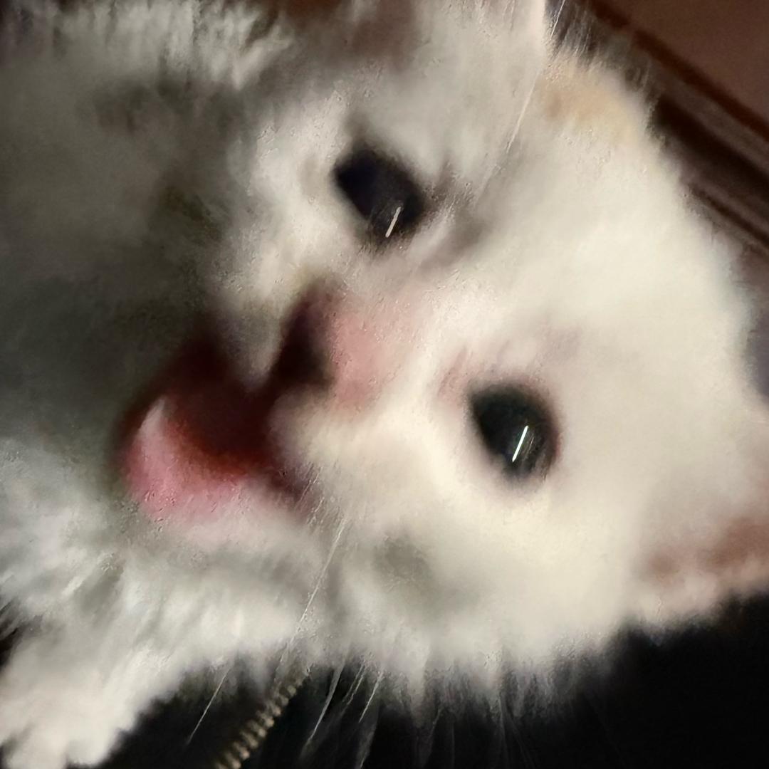 yyyy