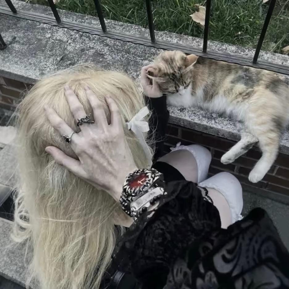 我是一个大肥猪