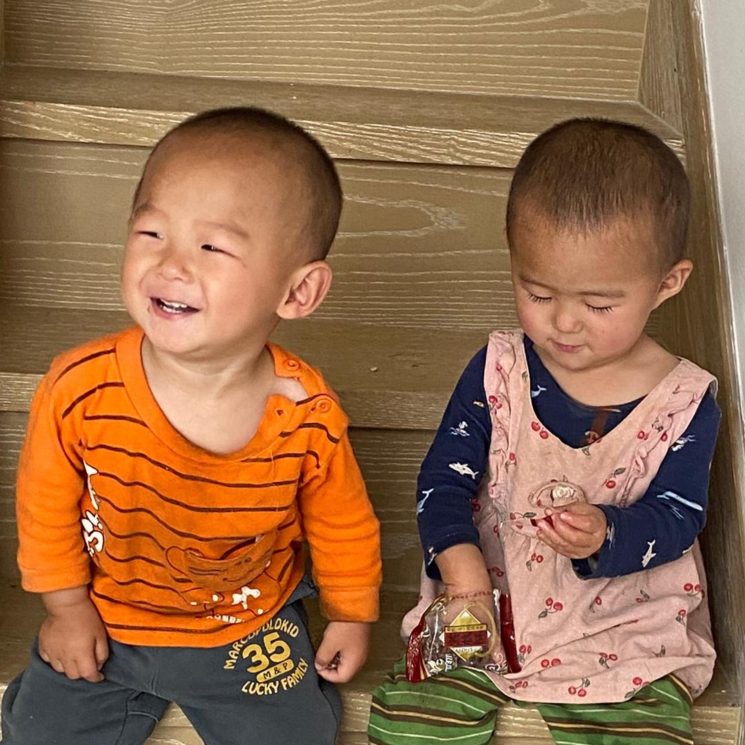 婧鑫