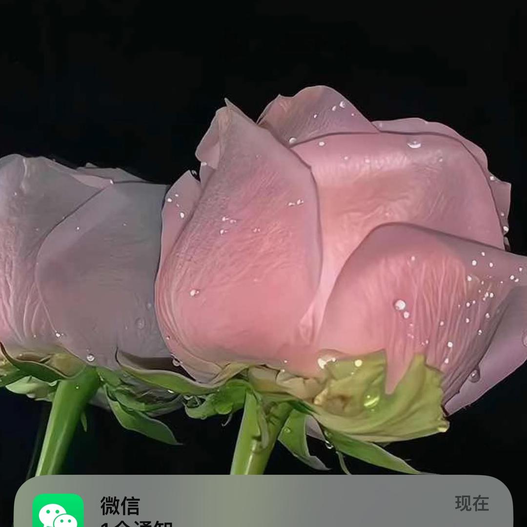 憧憬的美好