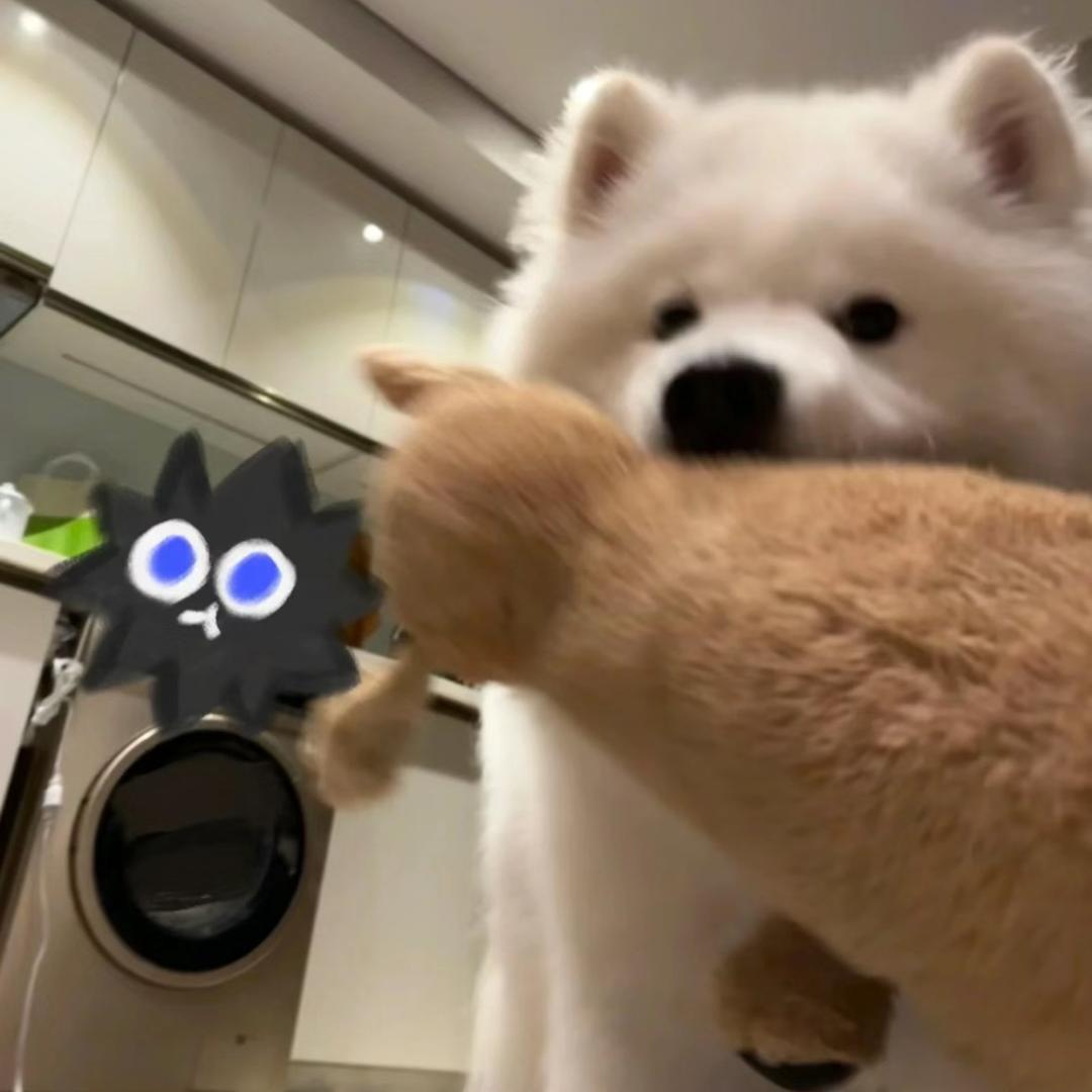 ooye