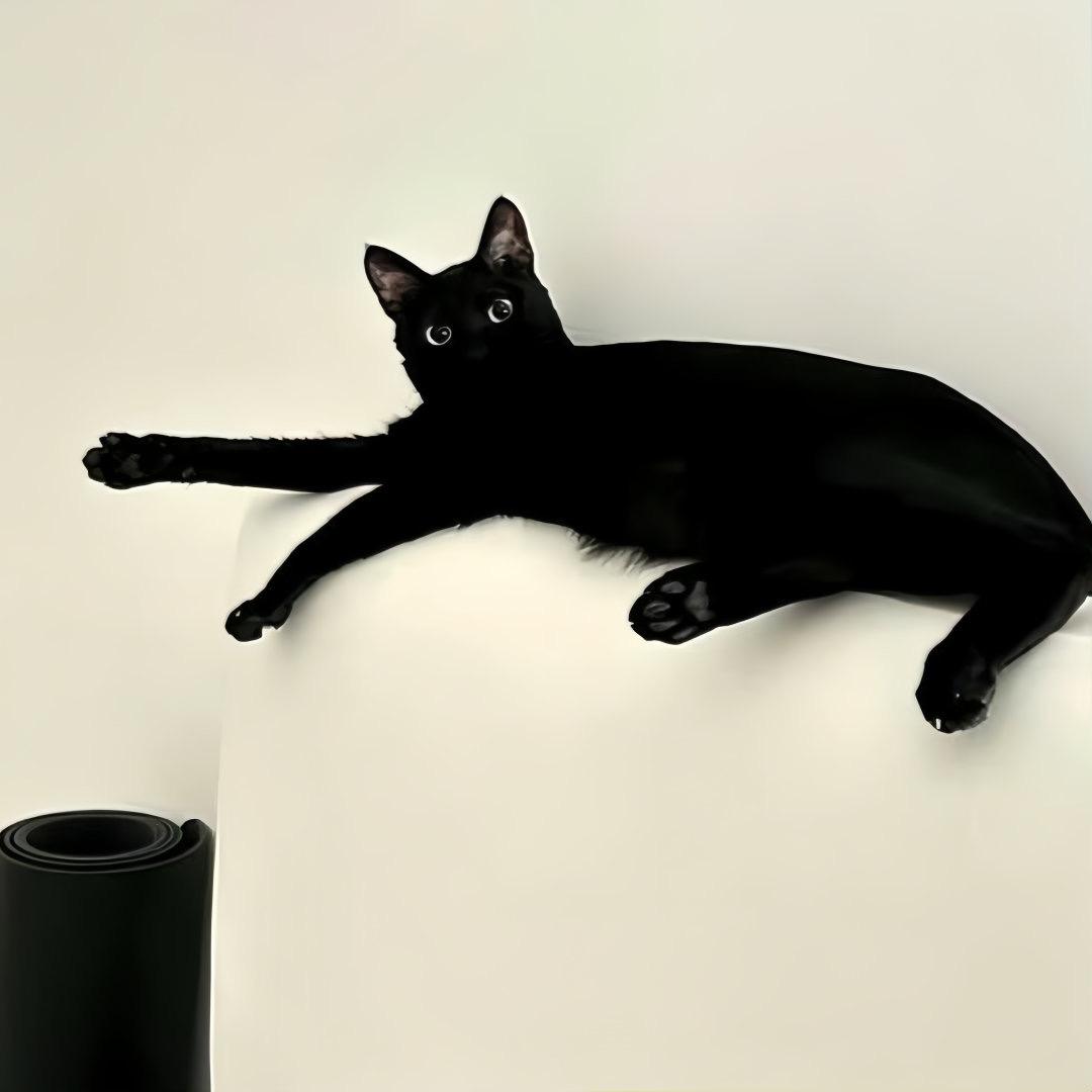 野生栗子