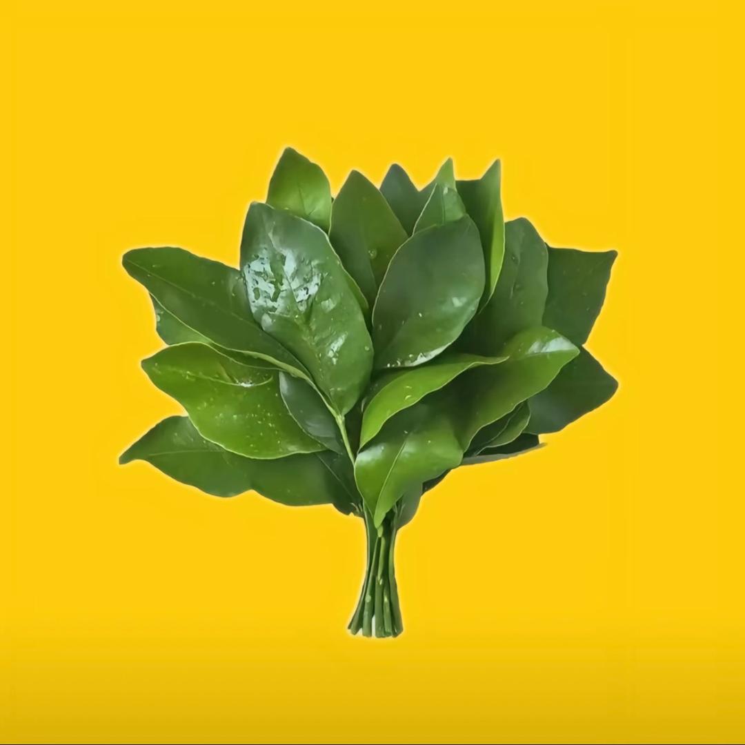 爱笑的薇薇