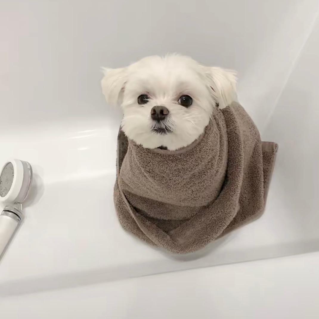 BuBuBu