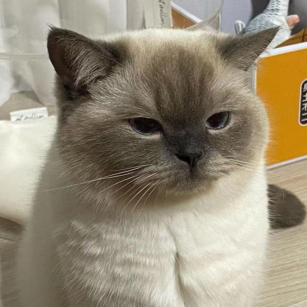 成都租房+手里全是钥匙。