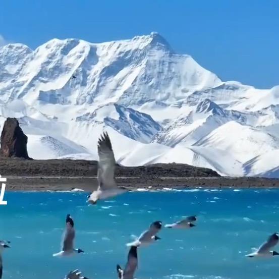 济南小迷弟