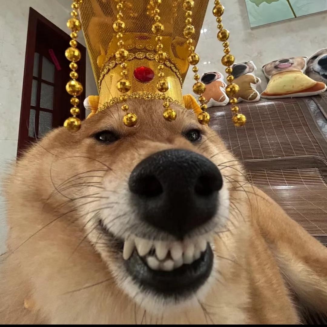 宿舍里爱唱歌的蜡笔小新