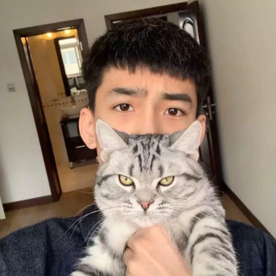泊雨林