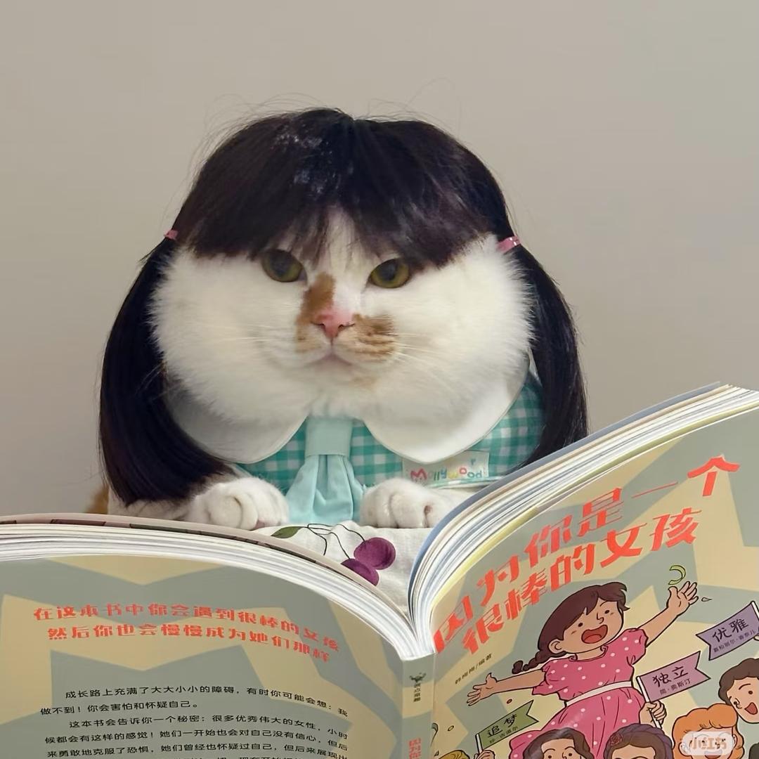 圆圆