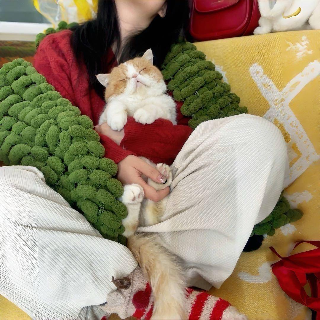 咪凹喵物