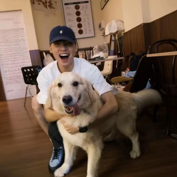 小岛西岸传来信