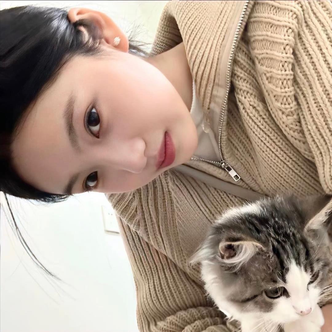 🐨.