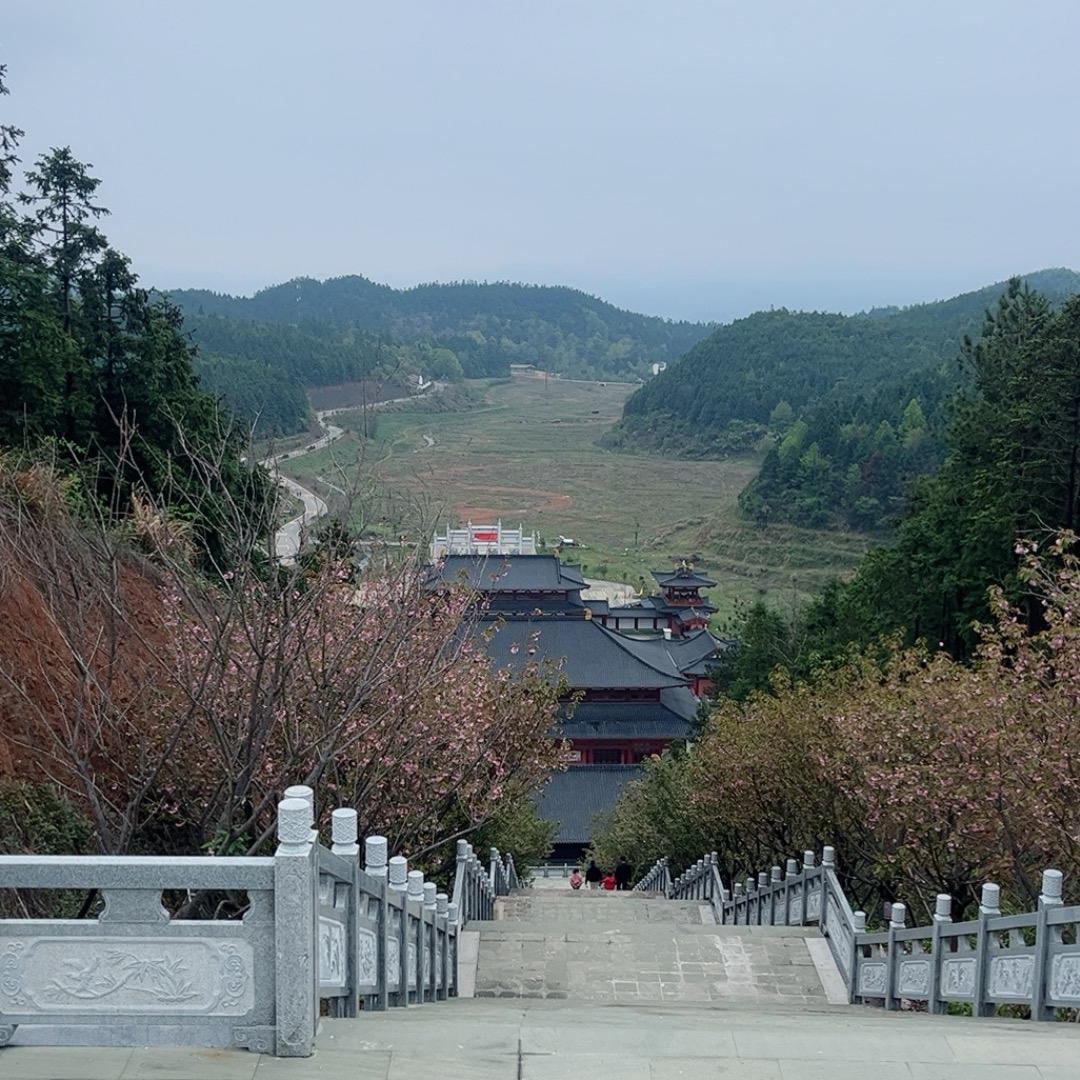 小邹