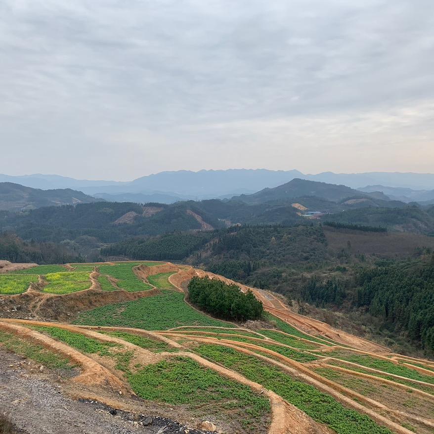 在下——江边坐