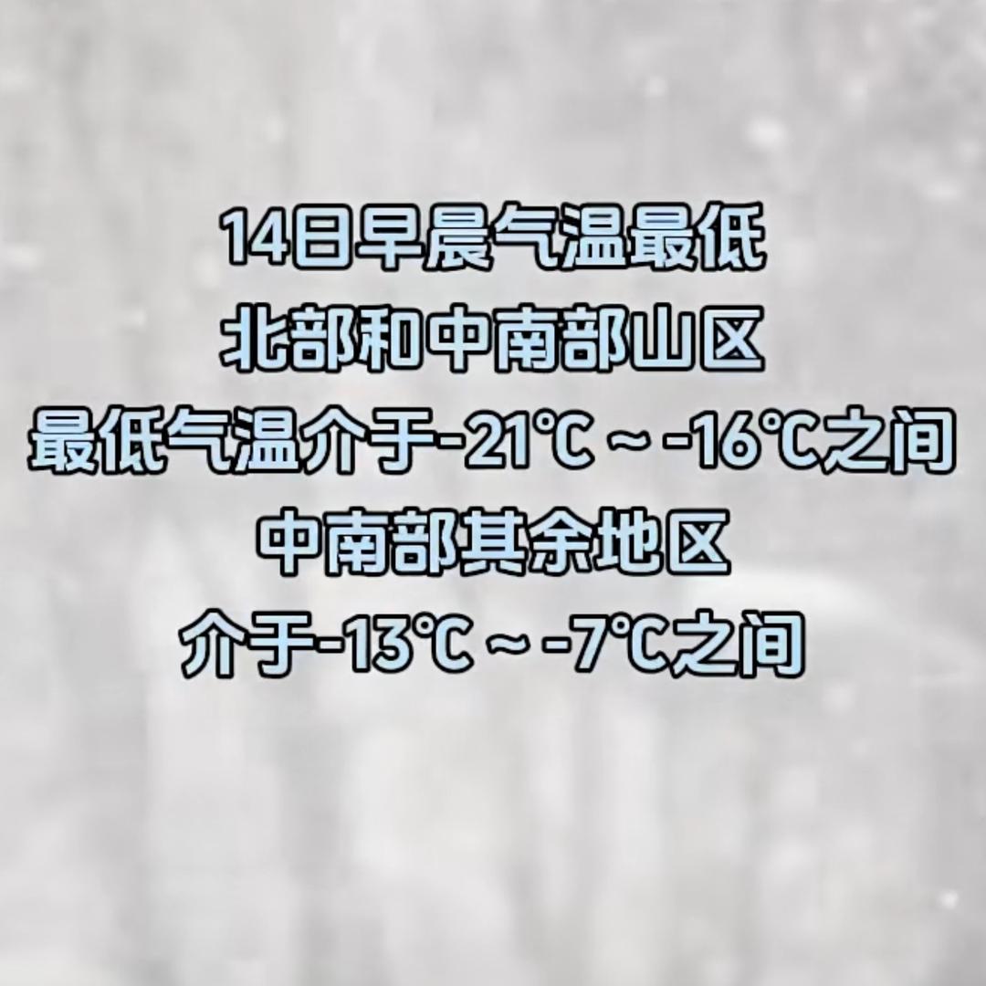 @）举报射手